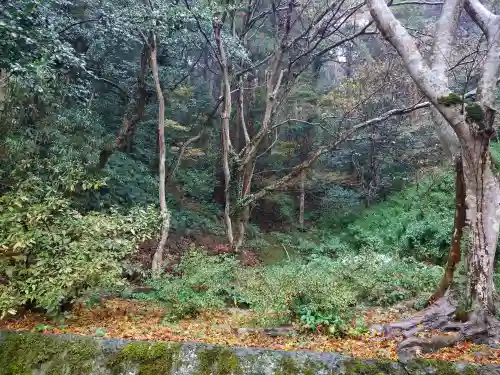 美保神社(島根県)