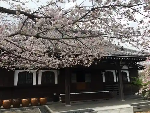 泥牛庵の本殿・本堂