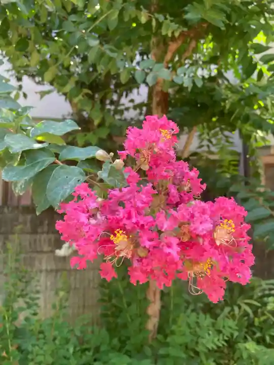 妻沼聖天山歓喜院(埼玉県)