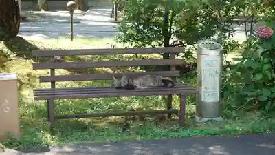 山梨縣護國神社(山梨県)