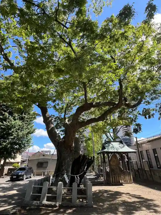 阿邪訶根神社(福島県)