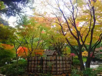 伊勢山皇大神宮(神奈川県)