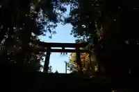 油井神社の鳥居