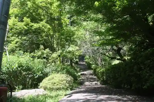 園養寺(滋賀県)