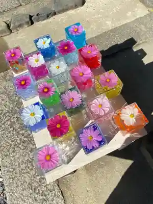 般若寺 ❁﻿コスモス寺❁(奈良県)