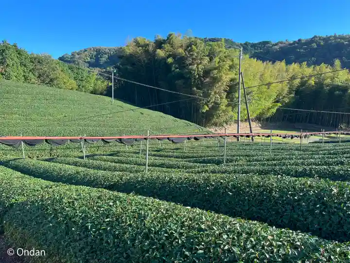 銭司聖天 聖法院(京都府)