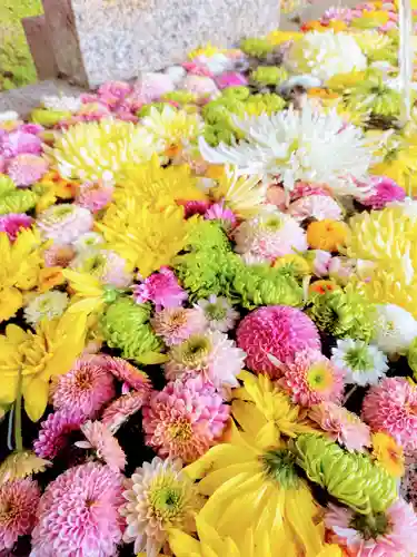 木幡山隠津島神社(二本松市)の手水