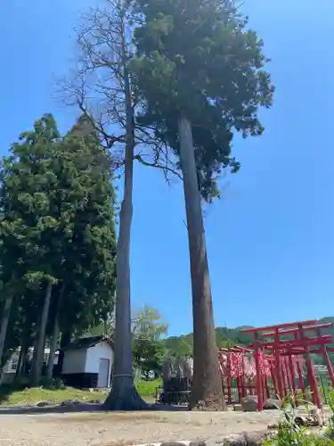 南宮神社の自然