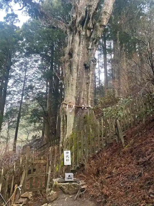 玉置神社の{uncategorized: "未分類", other: "その他", undefined: "問題あり", building: "その他建物", grave: "お墓", sacred_gate: "鳥居", guardian: "狛犬", statue: "像", buddha: "仏像", history: "歴史", nature: "自然", garden: "庭園", animal: "動物", pagoda: "塔", temizu: "手水舎", mountain_gate: "山門・神門", sanctuary: "本殿・本堂", subordinate: "末社・摂社", art: "芸術", scenery: "景色", jizo: "地蔵", ema: "絵馬", goshuin: "御朱印", omikuji: "おみくじ", items: "授与品その他", amulet: "お守り", goshuincho: "御朱印帳", eats: "食事", festival: "お祭り", votive_dance: "神楽", shichigosan: "七五三参", wedding: "結婚式", experience: "体験その他", initially: "初詣", around: "周辺", anti_infection: "感染症対策"}