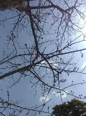 比佐豆知神社(三重県)