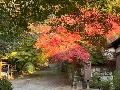 曼殊院門跡(京都府)