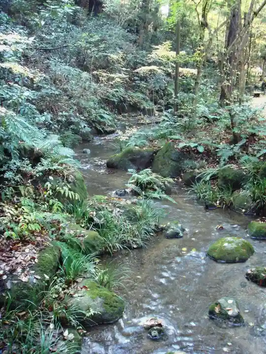 成田山新勝寺の自然