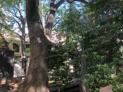 金王八幡宮(東京都)