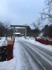 札幌護國神社の鳥居