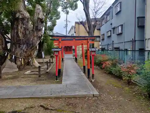 神田天満宮の鳥居