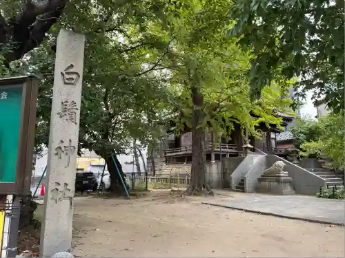 白鬚神社(石川県)