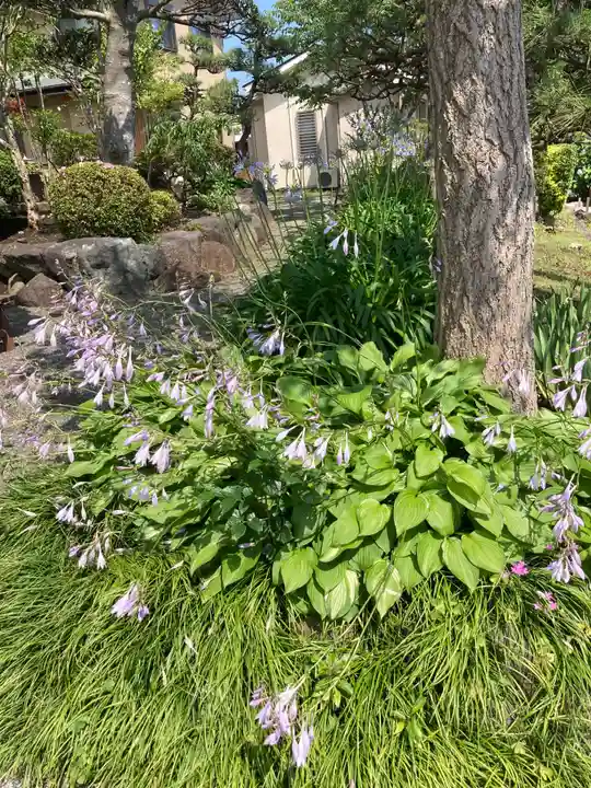 興全寺(神奈川県)