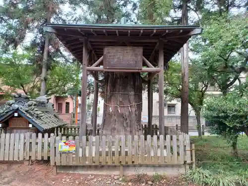 大和田氷川神社(埼玉県)