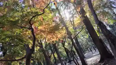 賀茂御祖神社（下鴨神社）(京都府)