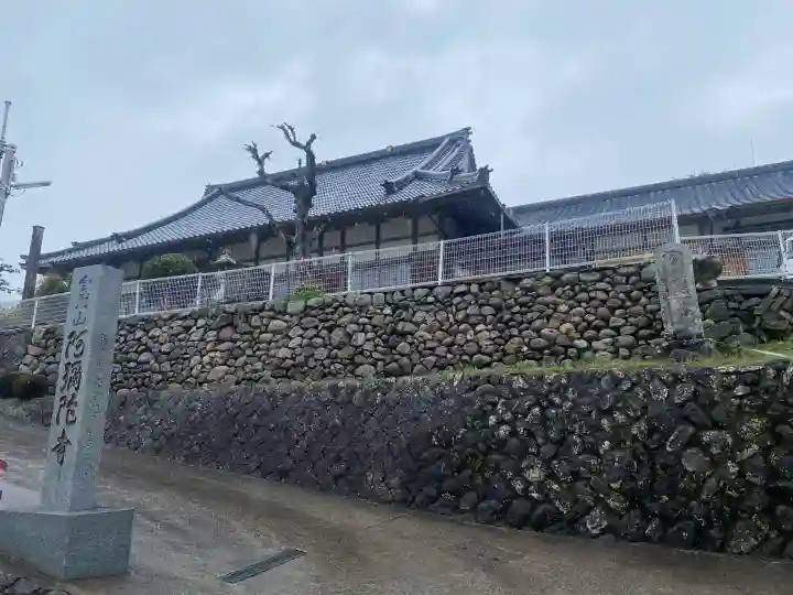 阿弥陀寺の{uncategorized: "未分類", other: "その他", undefined: "問題あり", building: "その他建物", grave: "お墓", sacred_gate: "鳥居", guardian: "狛犬", statue: "像", buddha: "仏像", history: "歴史", nature: "自然", garden: "庭園", animal: "動物", pagoda: "塔", temizu: "手水舎", mountain_gate: "山門・神門", sanctuary: "本殿・本堂", subordinate: "末社・摂社", art: "芸術", scenery: "景色", jizo: "地蔵", ema: "絵馬", goshuin: "御朱印", omikuji: "おみくじ", items: "授与品その他", amulet: "お守り", goshuincho: "御朱印帳", eats: "食事", festival: "お祭り", votive_dance: "神楽", shichigosan: "七五三参", wedding: "結婚式", experience: "体験その他", initially: "初詣", around: "周辺", anti_infection: "感染症対策"}