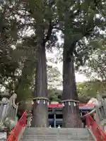 八幡朝見神社の自然