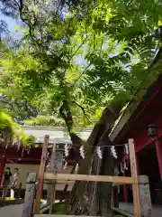 笠間稲荷神社(茨城県)