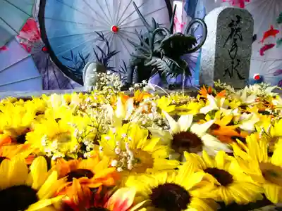 札幌諏訪神社の手水舎