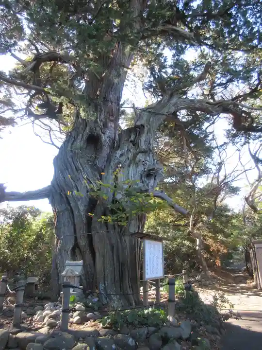 大瀬神社のその他建物
