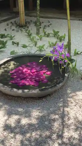 西来院(京都府)