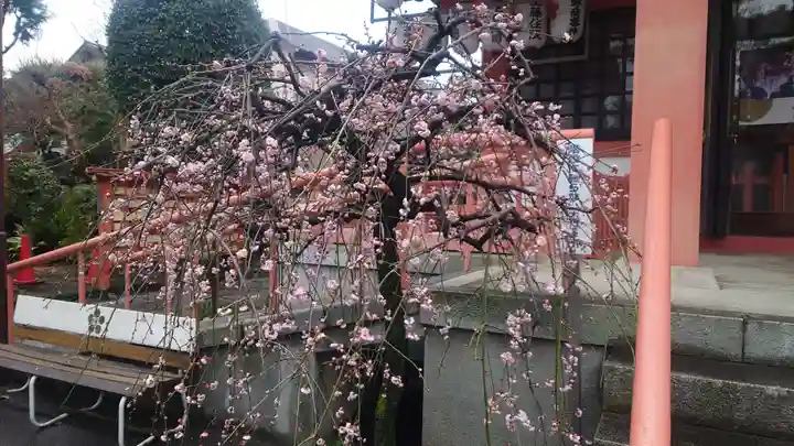 菅原神社の自然