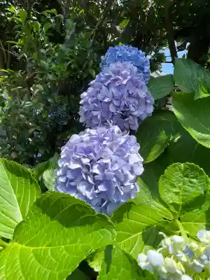 大久保山 自性院(神奈川県)