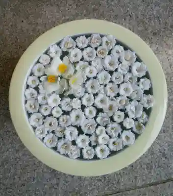 帯廣神社の手水舎