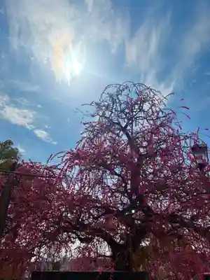 岡崎天満宮(愛知県)