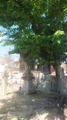 白山社(井堀)の景色