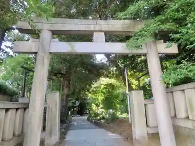 渋谷氷川神社の鳥居