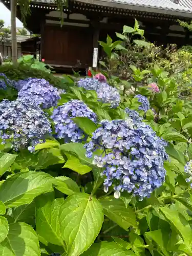 法金剛院(京都府)