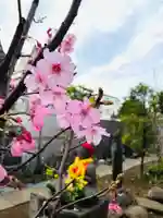 福王山 慈眼寺の自然