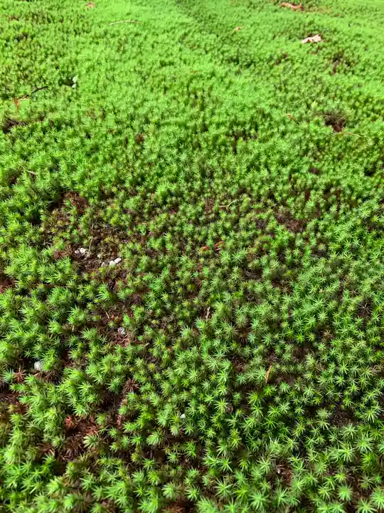 那須温泉神社の自然