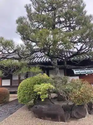 十輪院(奈良県)