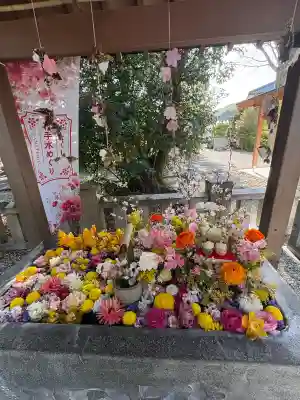 立江八幡神社の{uncategorized: "未分類", other: "その他", undefined: "問題あり", building: "その他建物", grave: "お墓", sacred_gate: "鳥居", guardian: "狛犬", statue: "像", buddha: "仏像", history: "歴史", nature: "自然", garden: "庭園", animal: "動物", pagoda: "塔", temizu: "手水舎", mountain_gate: "山門・神門", sanctuary: "本殿・本堂", subordinate: "末社・摂社", art: "芸術", scenery: "景色", jizo: "地蔵", ema: "絵馬", goshuin: "御朱印", omikuji: "おみくじ", items: "授与品その他", amulet: "お守り", goshuincho: "御朱印帳", eats: "食事", festival: "お祭り", votive_dance: "神楽", shichigosan: "七五三参", wedding: "結婚式", experience: "体験その他", initially: "初詣", around: "周辺", anti_infection: "感染症対策"}