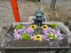 鶴若稲荷神社の手水