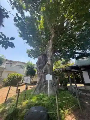 日隅神社(静岡県)