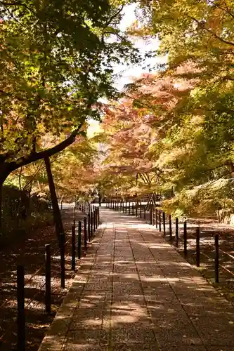 光明寺（粟生光明寺）(京都府)