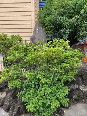 氷川鍬神社(埼玉県)