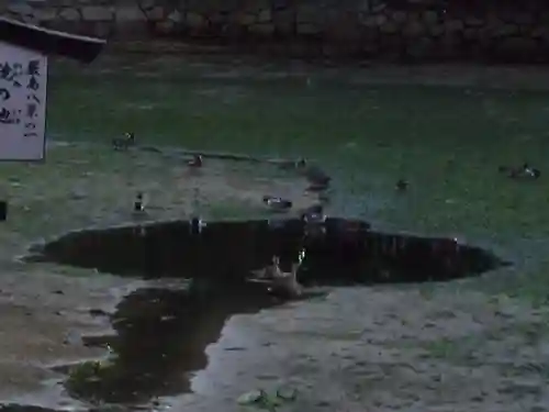 厳島神社(広島県)