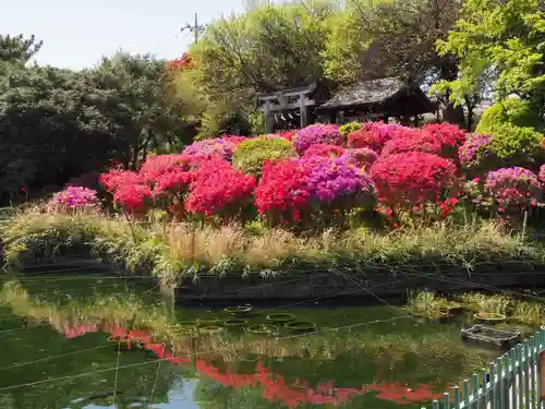 箭弓稲荷神社の庭園