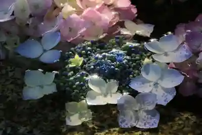 神炊館神社 ⁂奥州須賀川総鎮守⁂の手水舎