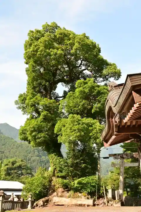 白人神社(徳島県)