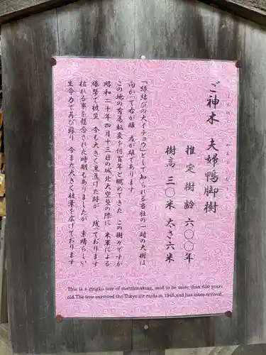 天祖神社の歴史