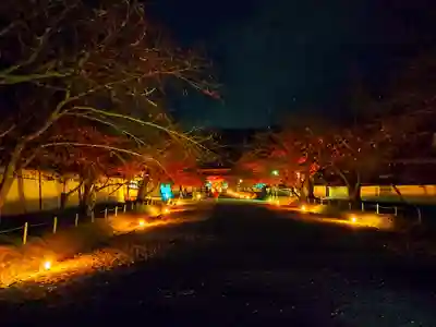 醍醐寺(京都府)